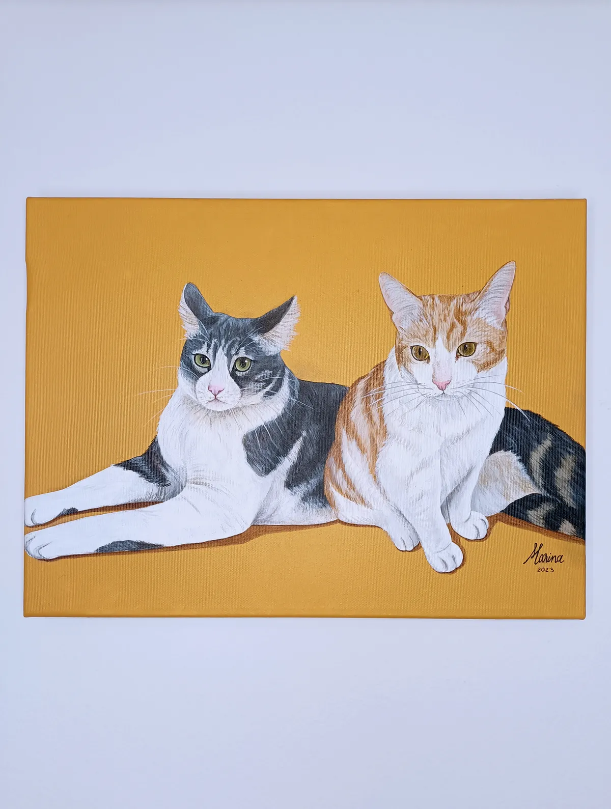 Dos gatos