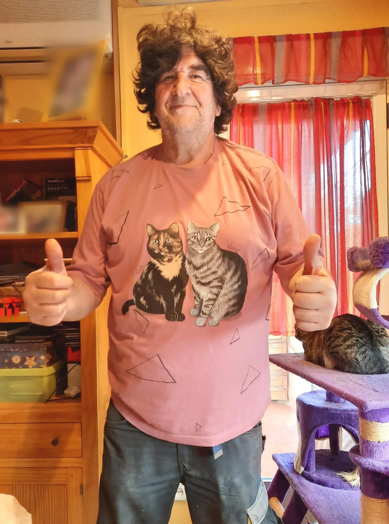 Gatos